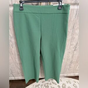 NWT Ann Taylor “Straight Crop” tailored side zip emerald green pants - size 8